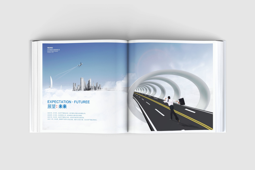 贾汪区画册设计